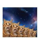 宇宙猫-Space Cat-（個別スタンプ：30）
