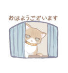 ねこんチのねこスタンプ（個別スタンプ：2）