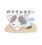 ねこんチのねこスタンプ（個別スタンプ：16）