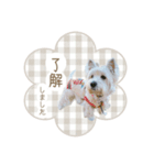 ラスティのスタンプ（個別スタンプ：1）