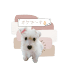 ラスティのスタンプ（個別スタンプ：3）