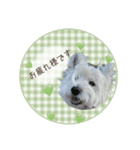 ラスティのスタンプ（個別スタンプ：6）