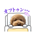 ポンっとつかえる（個別スタンプ：2）