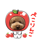 ポンっとつかえる（個別スタンプ：13）