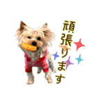 ココア君・ヨウちゃん（個別スタンプ：14）