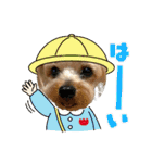 ココア君・ヨウちゃん（個別スタンプ：17）