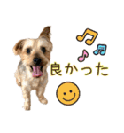 ココア君・ヨウちゃん（個別スタンプ：21）