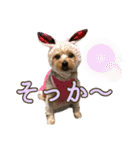 ココア君・ヨウちゃん（個別スタンプ：22）