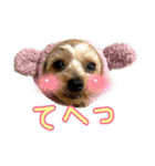 ココア君・ヨウちゃん（個別スタンプ：34）