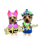 ココア君・ヨウちゃん（個別スタンプ：40）