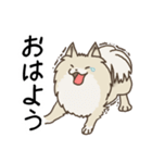 デカぽめアシュリくん1（個別スタンプ：1）