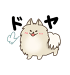 デカぽめアシュリくん1（個別スタンプ：8）