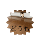 チワワコンニチハスタンプヨ（個別スタンプ：2）