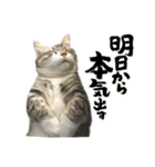 毛玉まみれ Part②（個別スタンプ：4）