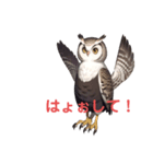 ふくろうの福太郎Fukutaro the owl（個別スタンプ：2）