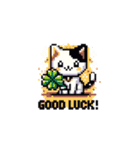 8-BitCat（個別スタンプ：4）