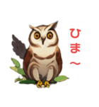 フクロウの福多朗Fukutaro the owl（個別スタンプ：5）