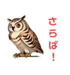 フクロウの福多朗Fukutaro the owl（個別スタンプ：8）