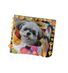 ふっちんMEMORIAL（個別スタンプ：14）