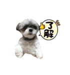 ふっちんMEMORIAL（個別スタンプ：15）