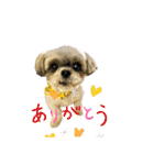 ふっちんMEMORIAL（個別スタンプ：17）