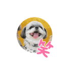 ふっちんMEMORIAL（個別スタンプ：22）