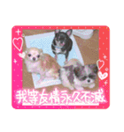 ふっちんMEMORIAL（個別スタンプ：23）