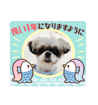ふっちんMEMORIAL（個別スタンプ：30）