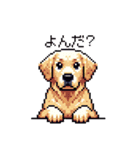 日常会話 ドット絵 ゴールデン 40種（個別スタンプ：1）