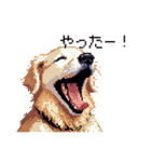 日常会話 ドット絵 ゴールデン 40種（個別スタンプ：2）