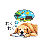 日常会話 ドット絵 ゴールデン 40種（個別スタンプ：3）