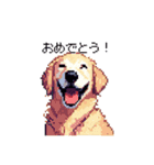 日常会話 ドット絵 ゴールデン 40種（個別スタンプ：4）