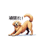 日常会話 ドット絵 ゴールデン 40種（個別スタンプ：5）