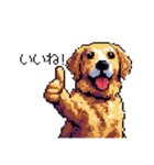 日常会話 ドット絵 ゴールデン 40種（個別スタンプ：9）