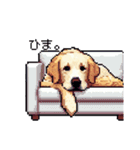 日常会話 ドット絵 ゴールデン 40種（個別スタンプ：11）