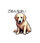 日常会話 ドット絵 ゴールデン 40種（個別スタンプ：18）