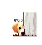 日常会話 ドット絵 ゴールデン 40種（個別スタンプ：19）