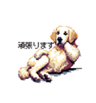 日常会話 ドット絵 ゴールデン 40種（個別スタンプ：23）