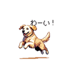 日常会話 ドット絵 ゴールデン 40種（個別スタンプ：25）