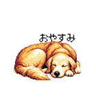 日常会話 ドット絵 ゴールデン 40種（個別スタンプ：27）