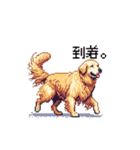 日常会話 ドット絵 ゴールデン 40種（個別スタンプ：28）