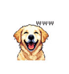 日常会話 ドット絵 ゴールデン 40種（個別スタンプ：30）