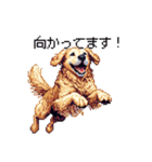 日常会話 ドット絵 ゴールデン 40種（個別スタンプ：32）