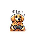 日常会話 ドット絵 ゴールデン 40種（個別スタンプ：36）