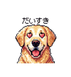 日常会話 ドット絵 ゴールデン 40種（個別スタンプ：40）