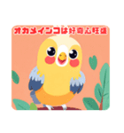 オカメインコの特性（個別スタンプ：4）