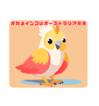 オカメインコの特性（個別スタンプ：5）