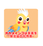 オカメインコの特性（個別スタンプ：6）