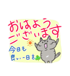 毎日使える♡デカ文字ねこスタンプ（個別スタンプ：1）