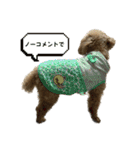 狂犬 ぷりんちゃん（個別スタンプ：36）